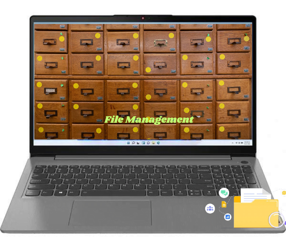 Electronic File and Resource Management Systems in Libraries