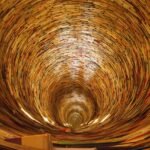 books, education, knowledge-2869.jpg